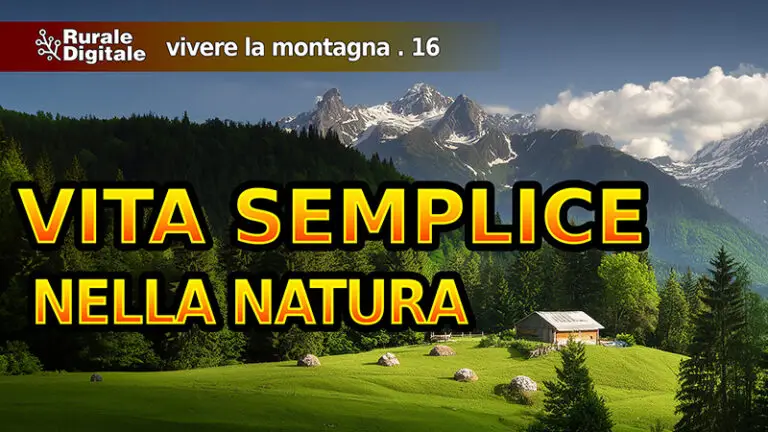 vita semplice nella natura