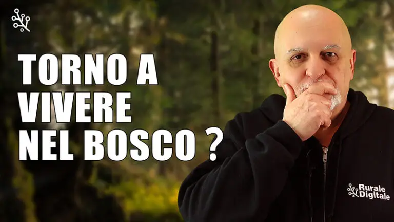 vivere nel bosco